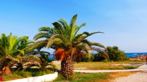 wakacje na cyprze jak kupić nieruchomość