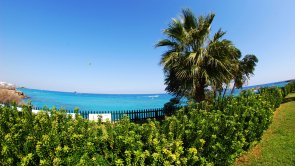 Wybrzeże Cypr nieruchomości na sprzedaż