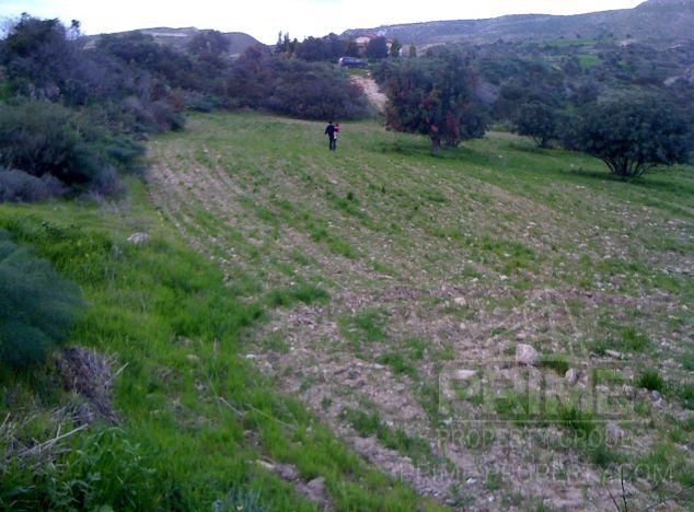 Ziemia w rejonie Larnaca (Agios Theodoros) na sprzedaż