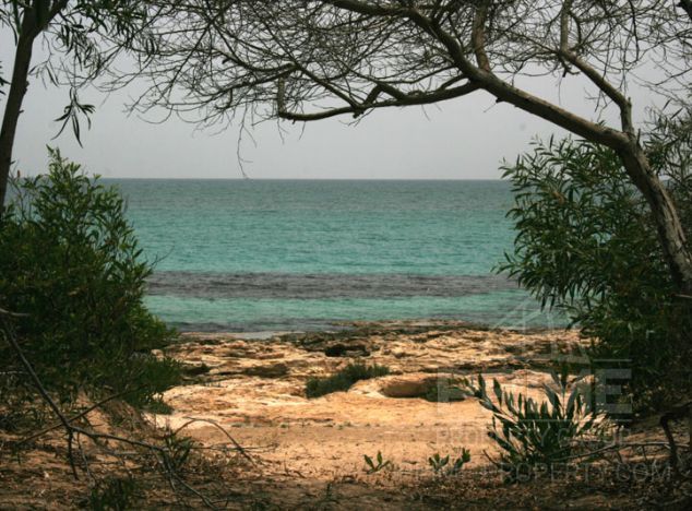 Ziemia w rejonie Paphos (Geroskipou) na sprzedaż