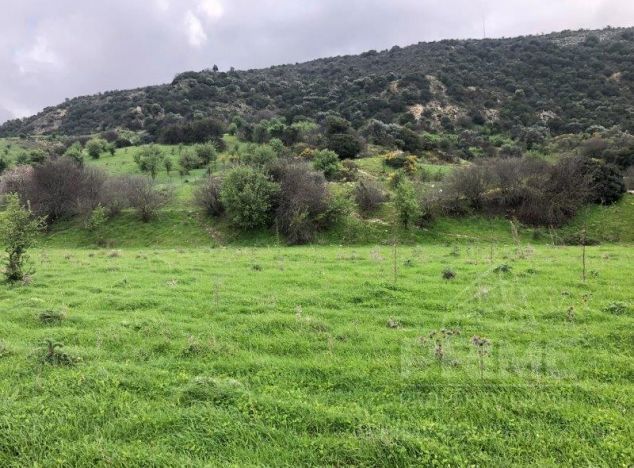 Ziemia w rejonie Paphos (Kelokedara) na sprzedaż