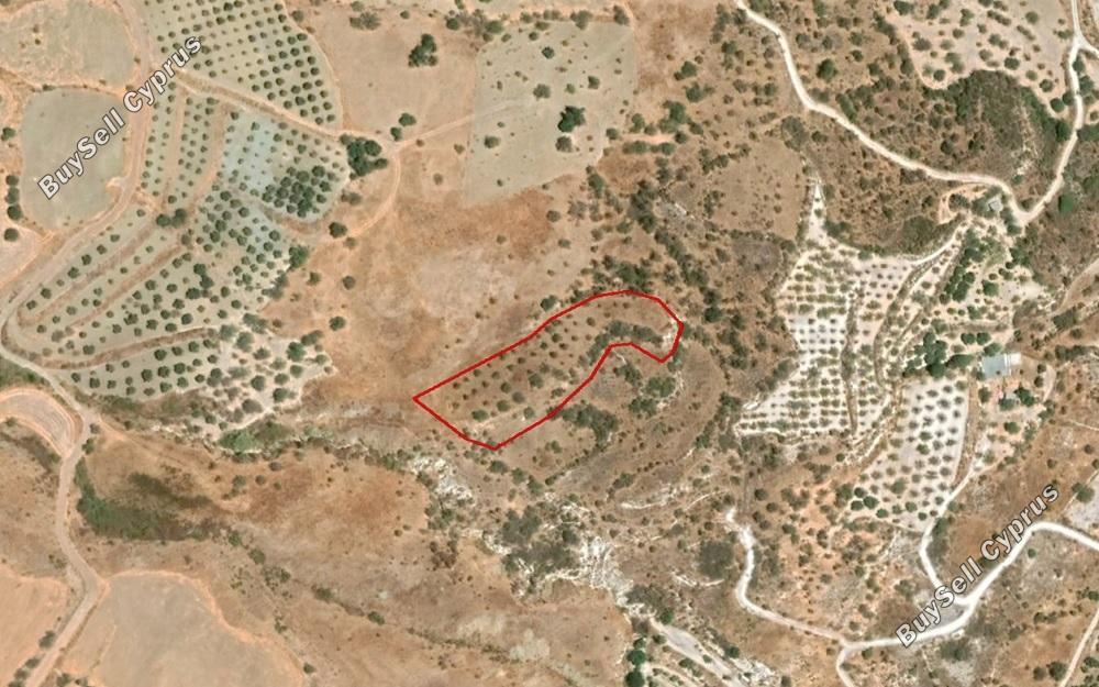 Ziemia w rejonie Paphos (853168) na sprzedaż