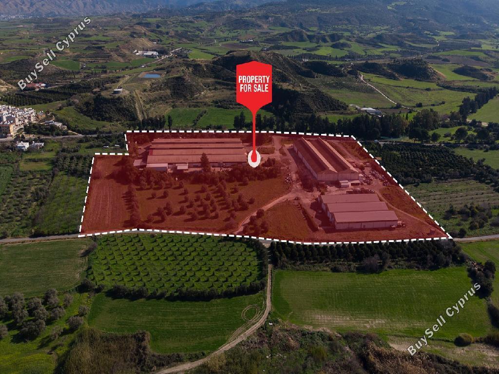 Dom w rejonie Paphos (859672) na sprzedaż
