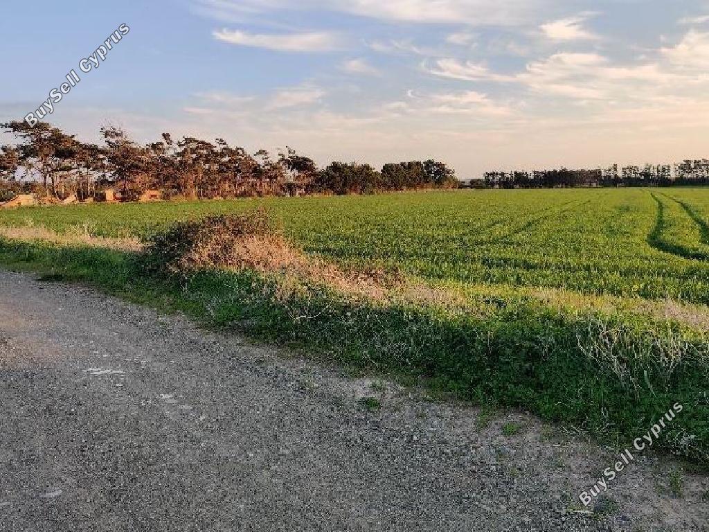 Ziemia w rejonie Limassol (877423) na sprzedaż